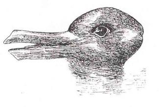 a sketch of the visual illusion described in the caption