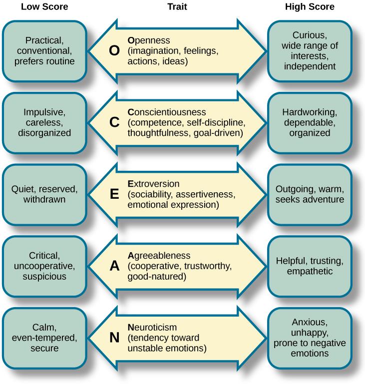 Describes the five dimensions of the Five Factor model using the OCEAN acronym, including:1. Openness, meaning openness to imagination, feelings, actions, new ideas 2. Conscientiousness, meaning competence, self-discipline, thoughtfulness, and being goal-driven 3. Extroversion, meaning sociability, assertiveness, and emotional expression 4. Agreeableness, meaning being cooperative, trustworthy, and good-natured 5. Neuroticism, meaning a tendency towards unstable emotions