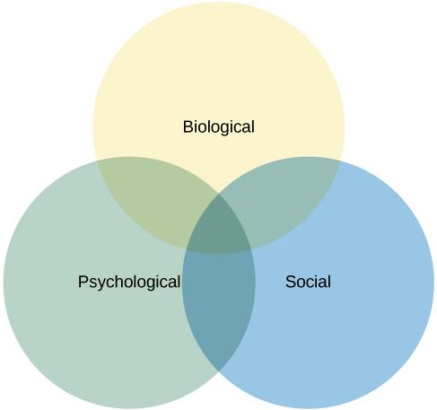 a venn diagram with the words, biological, psychological, and social